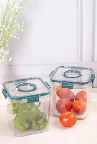 TIME KEEPING CONTAINER (2100ML)