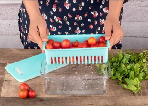 PLASTIC FRIDGE STORAGE CONTAINER (SET OF 2)