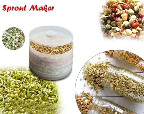 [BG-1109] SPROUT MAKER 4 COMPARTMENT