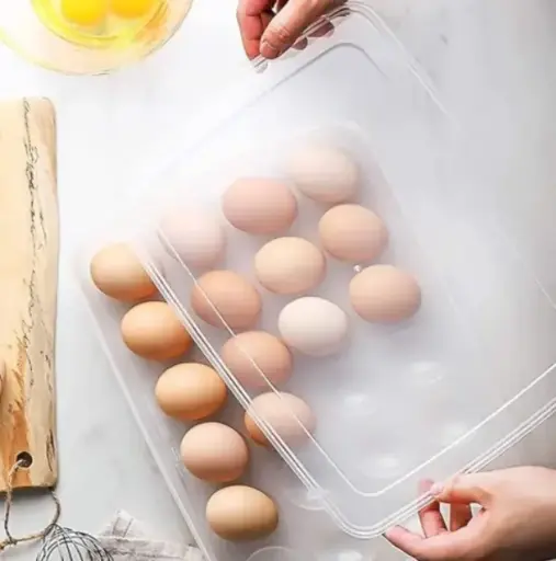 [BG-1110] EGG TRAY 24  GRID