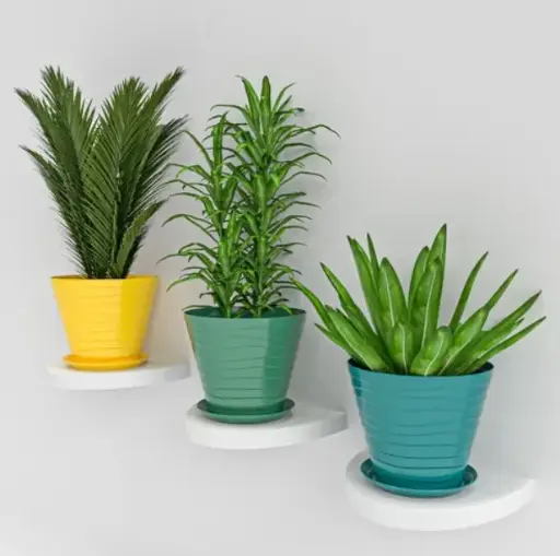 [BG-1602] CUP SHAPE FLOWER POT