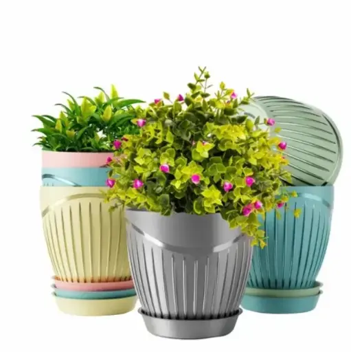 [BG-1605] LINE FLOWER POT